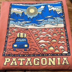 Patagonia T Shirt